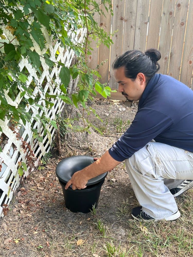 Technician placing a black mosquito bait station on the ground along a residential fence line and lattice.