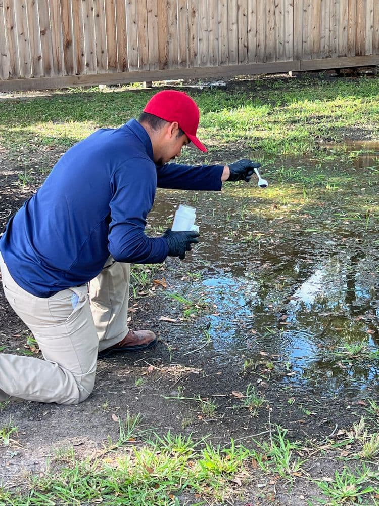 Technician kneeling at a backyard puddle treats standing water with a scoop so mosquito larvae cannot develop.